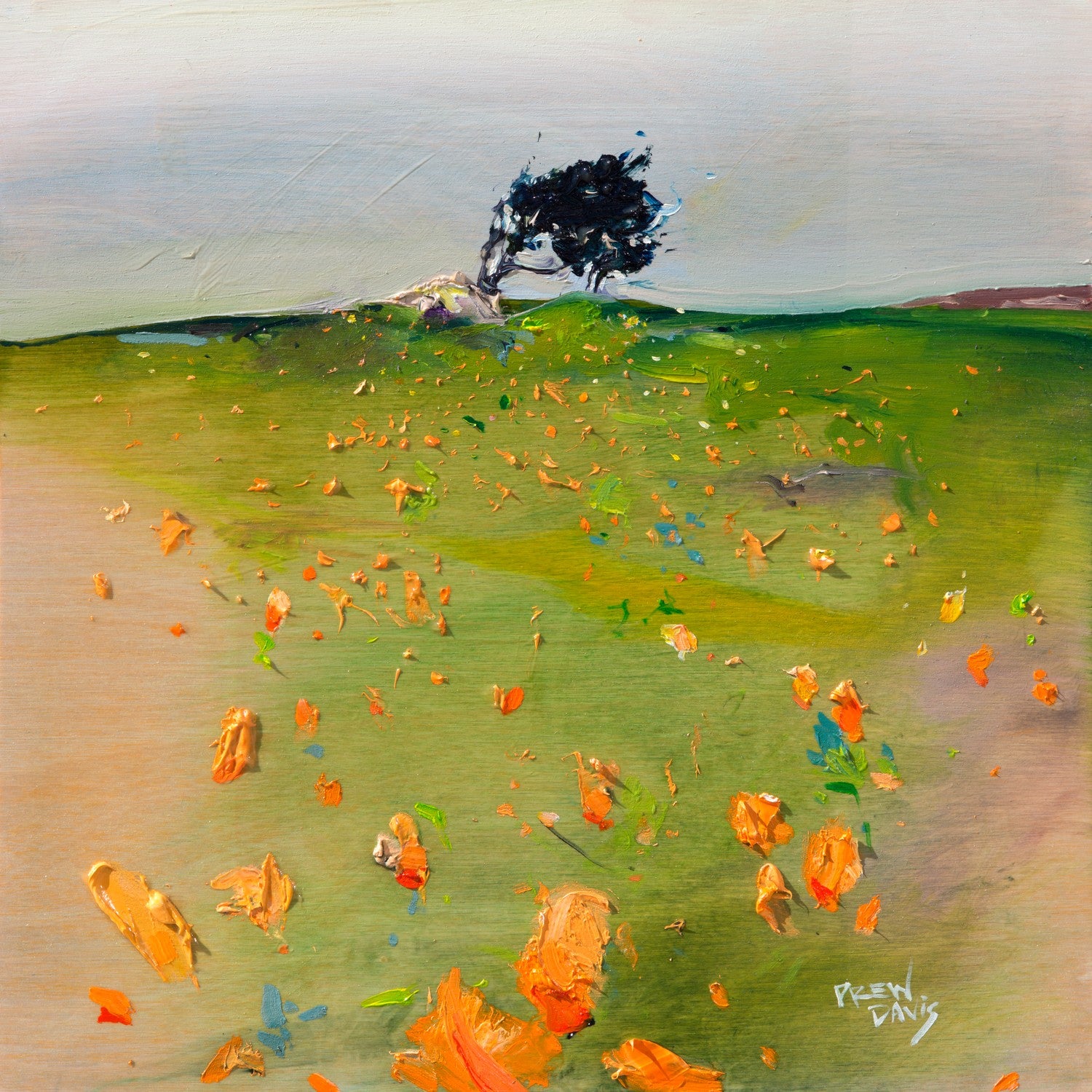 17 Mile Drive Poppies - View 2