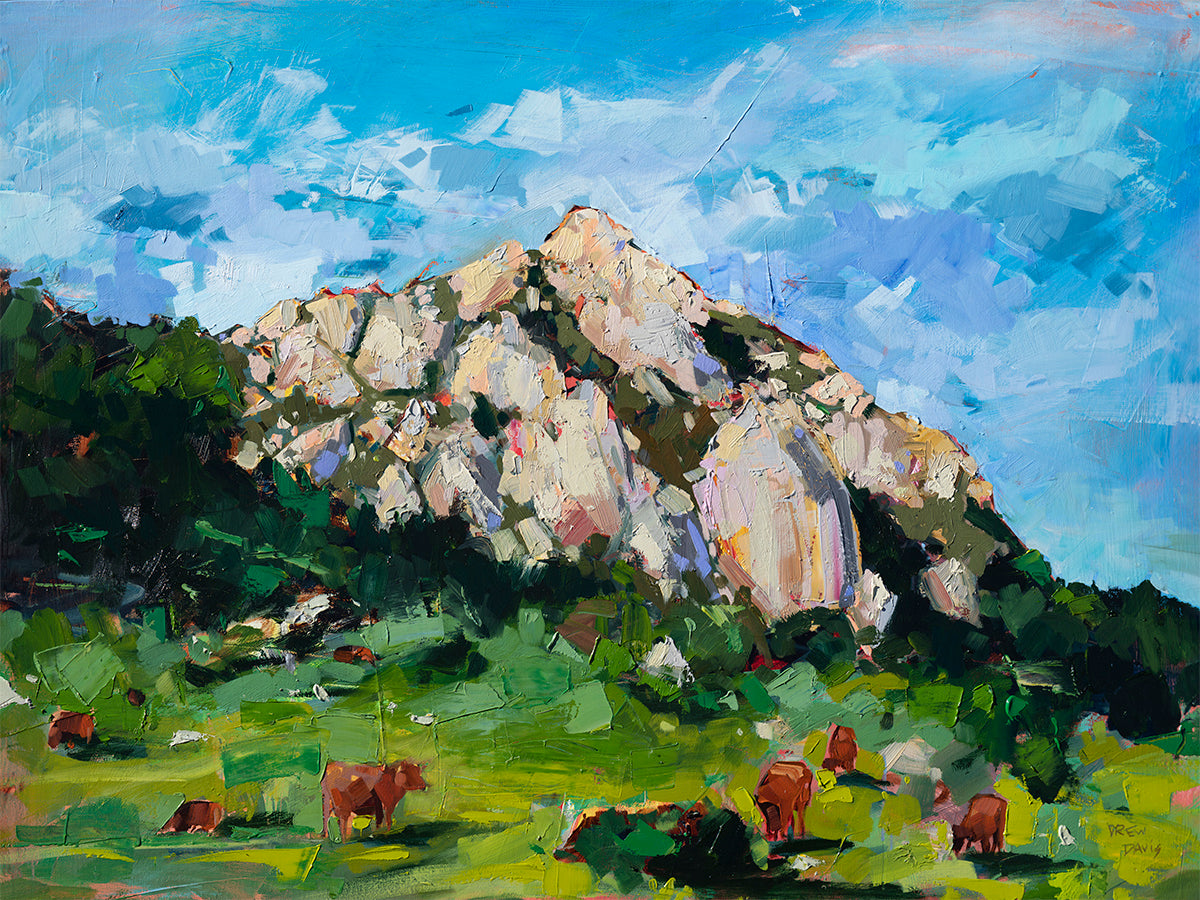Bishops Peak Cows 2021 by Drew Davis — Oil on Canvas, 43×56 in