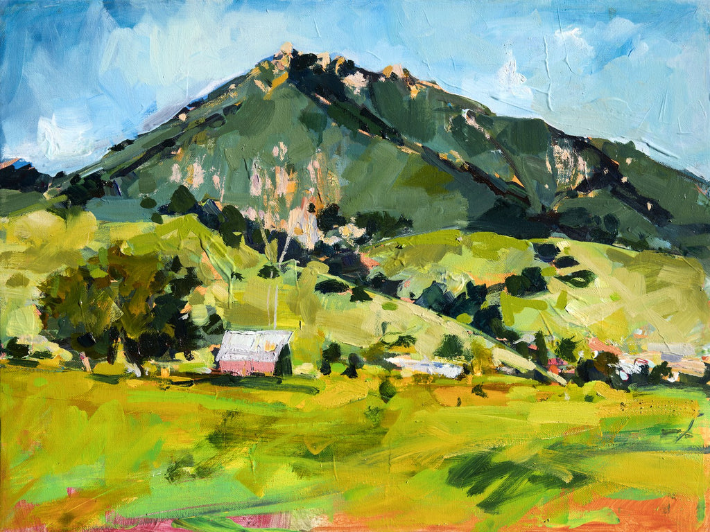 Bishops Pink Barn by Drew Davis — Canvas Print, 18×24 in