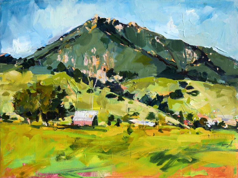 Bishops Pink Barn by Drew Davis — Canvas Print, 18×24 in