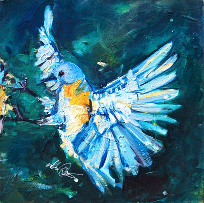 Blue Jay by Drew Davis — Canvas Print, 12×12 in