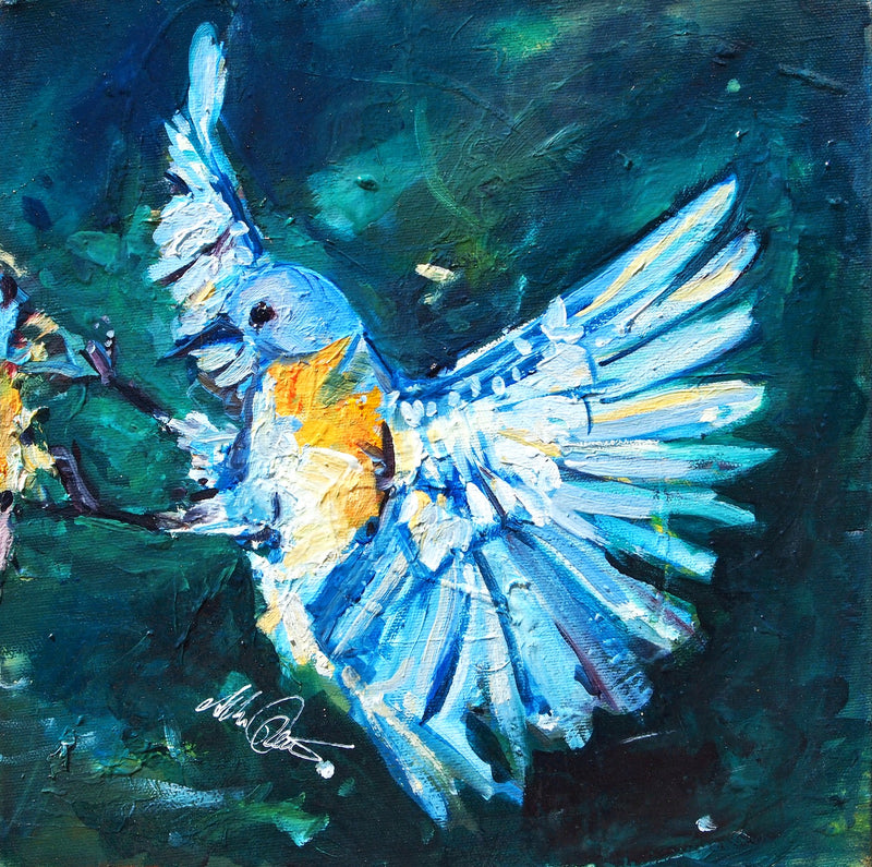 Blue Jay by Drew Davis — Canvas Print, 12×12 in