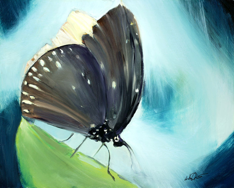 Butters by Drew Davis — Canvas Print, 16×20 in