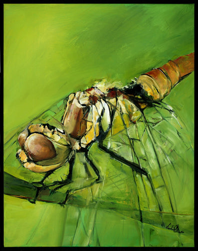 Dragon Fly 1 by Drew Davis — Canvas Print, 18×24 in