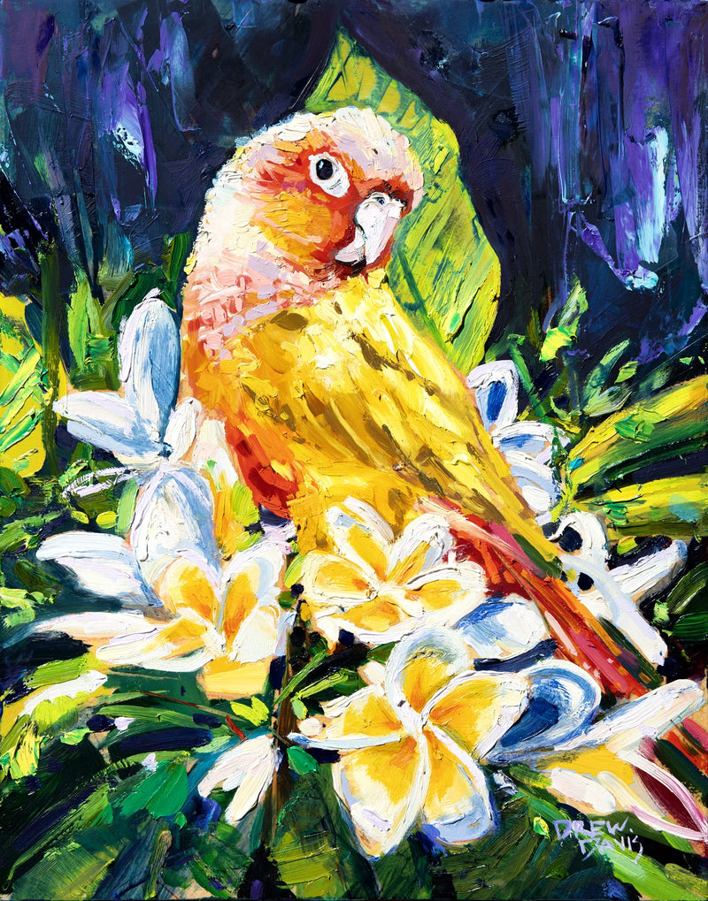 Fritz Bird by Drew Davis — Canvas Print, 11×14 in