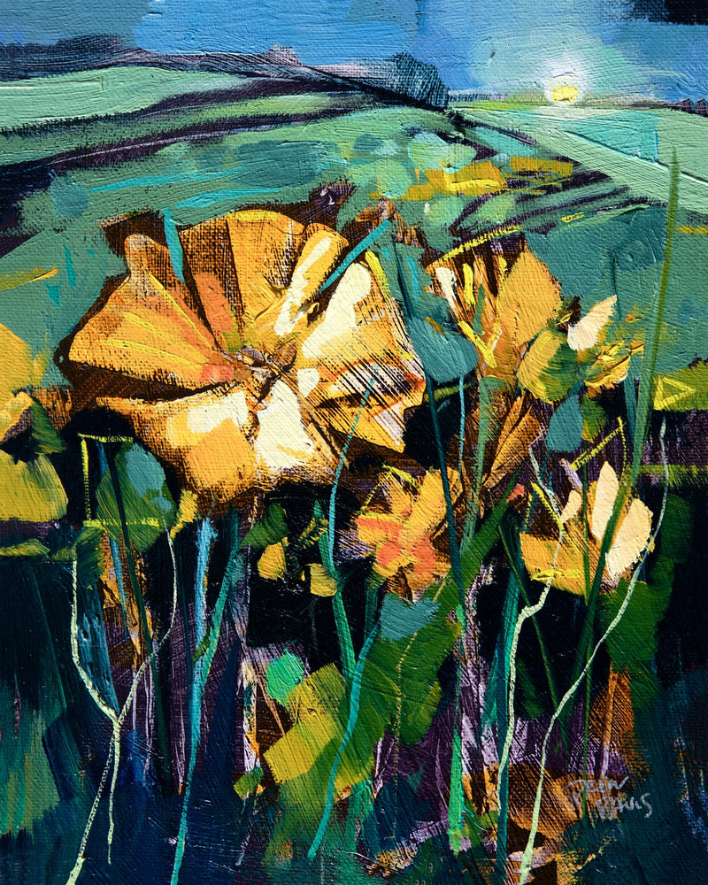 Golden Poppies by Drew Davis — Canvas Print, 8×10 in