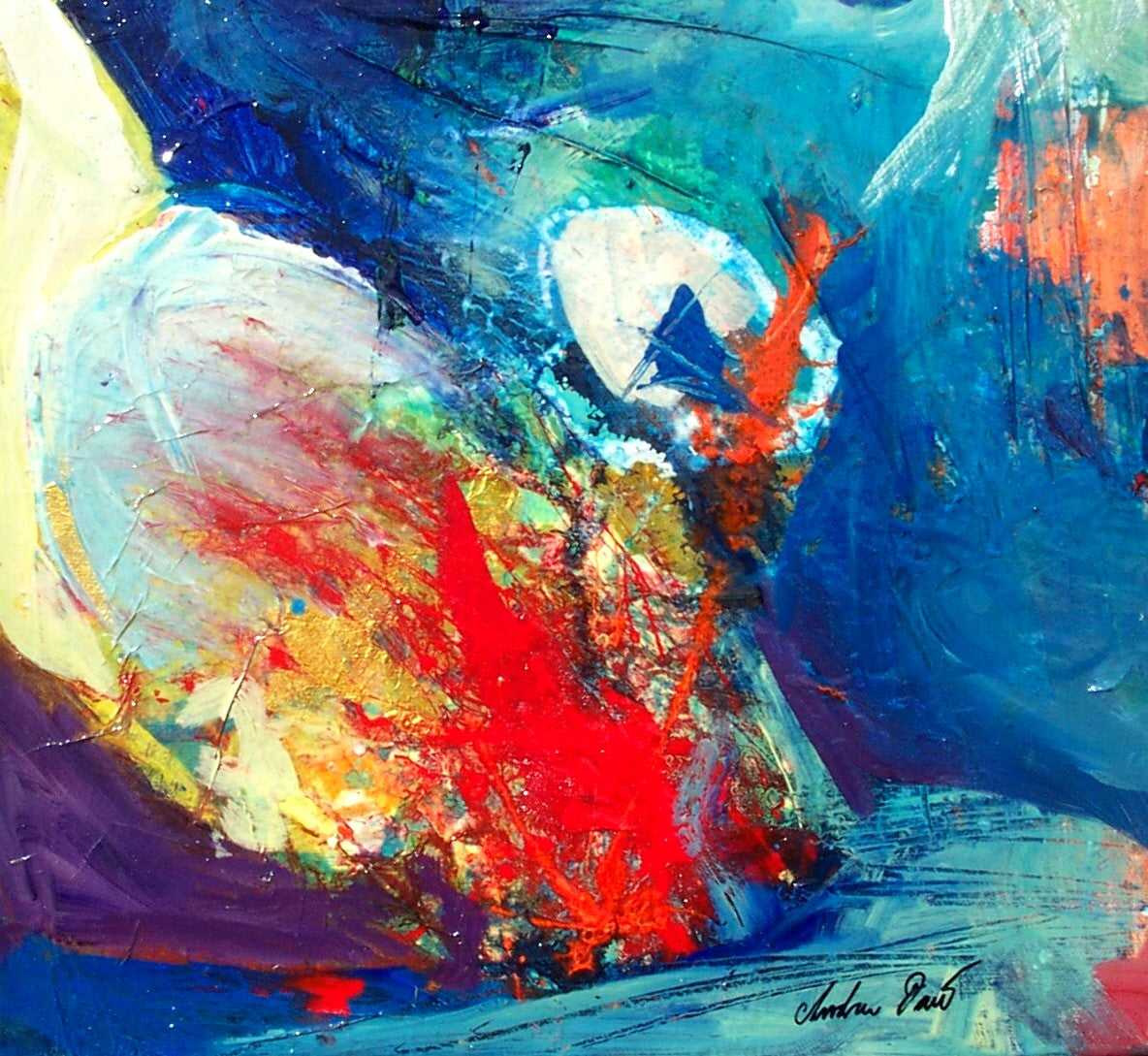 Jellys by Drew Davis — Canvas Print, 12×12 in