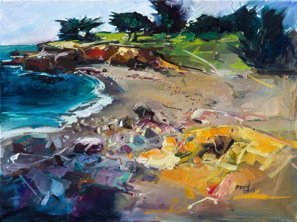 North San Simeon by Drew Davis — Canvas Print, 24×30 in