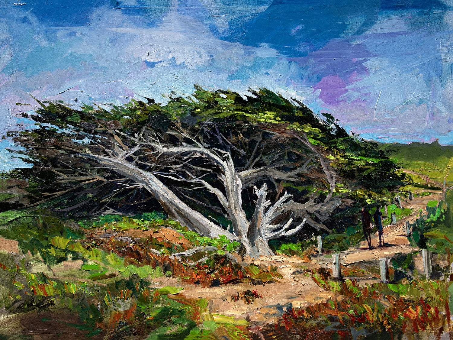 San Simeon Tree by Drew Davis