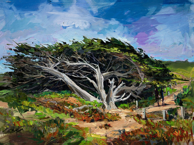 San Simeon Tree by Drew Davis