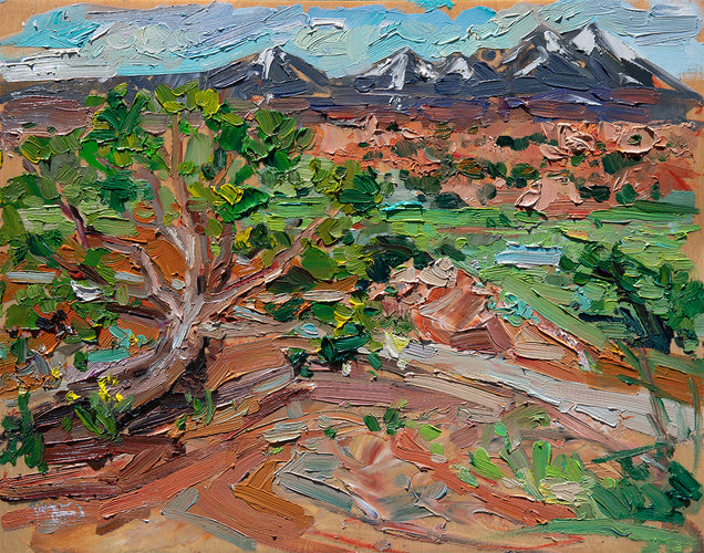 Sand Flats Moab by Drew Davis — Oil on Canvas, 48×60 in