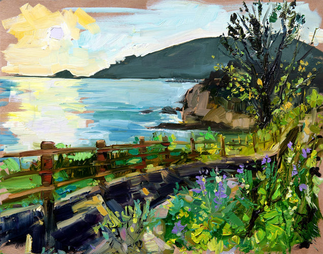 Shell Beach Bluff Sunset by Drew Davis — Canvas Print, 11×14 in