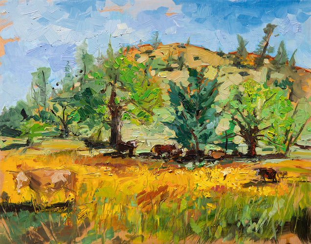 Shell Creek Cows 2025 by Drew Davis — Oil on Canvas, 48×60 in