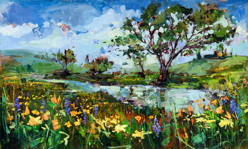 Shell Creek Superbloom by Drew Davis — Canvas Print, 36×60 in