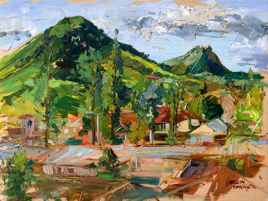 Slo After The Rains by Drew Davis — Canvas Print, 12×16 in