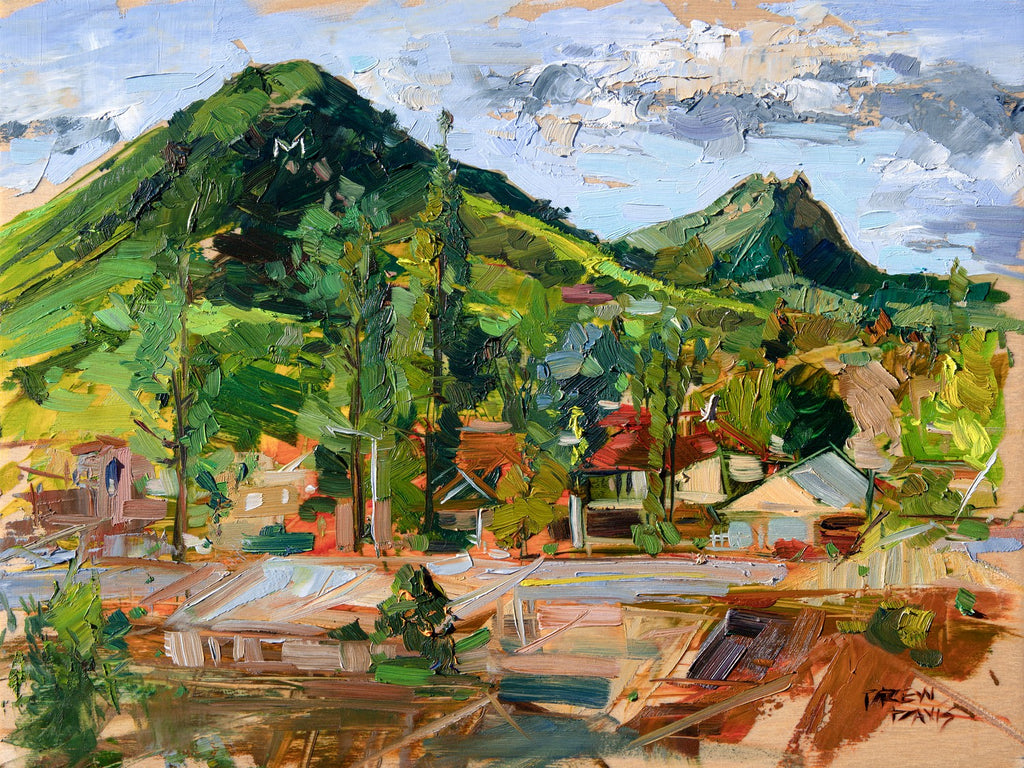 Slo After The Rains by Drew Davis — Canvas Print, 12×16 in