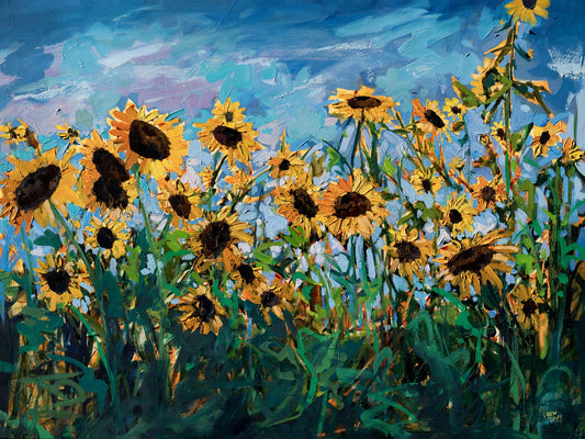 Sunflower Field Bloom by Drew Davis — Canvas Print, 30×40 in