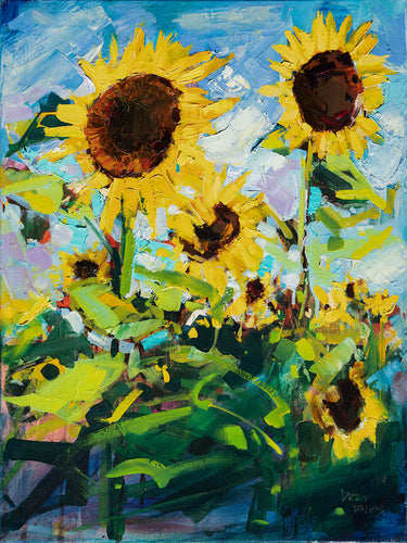Sunflower Field by Drew Davis — Oil on Canvas, 43×56 in