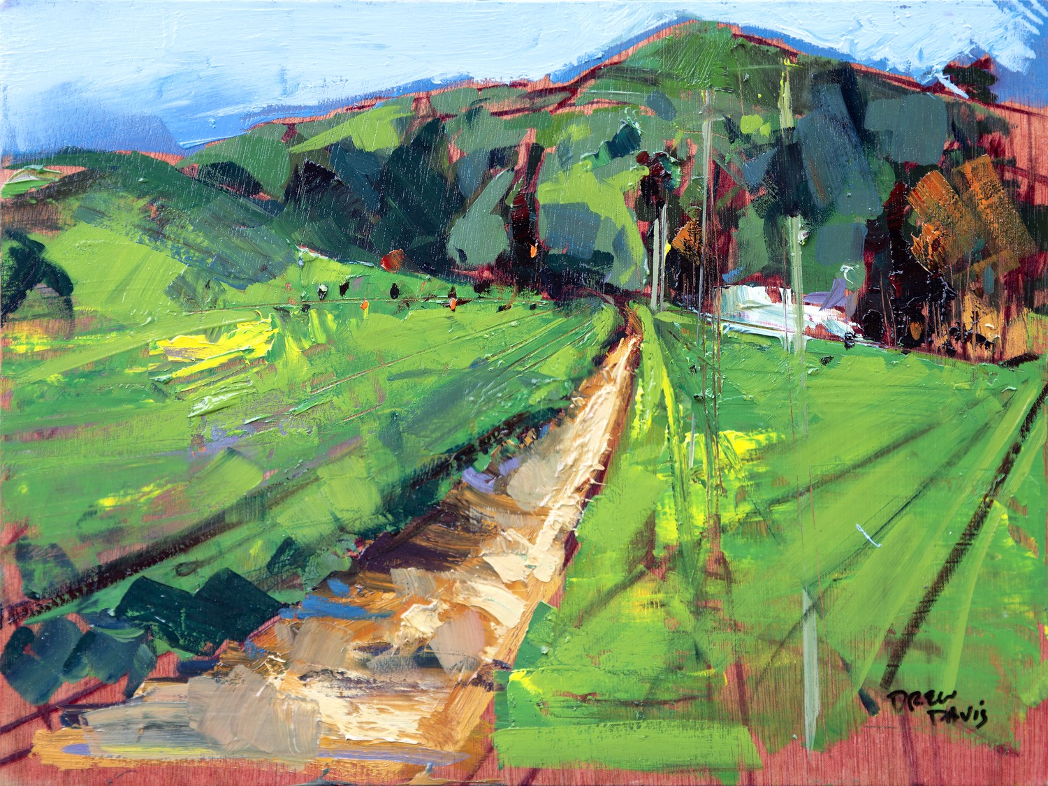 Turri Road Greens by Drew Davis — Canvas Print, 9×12 in