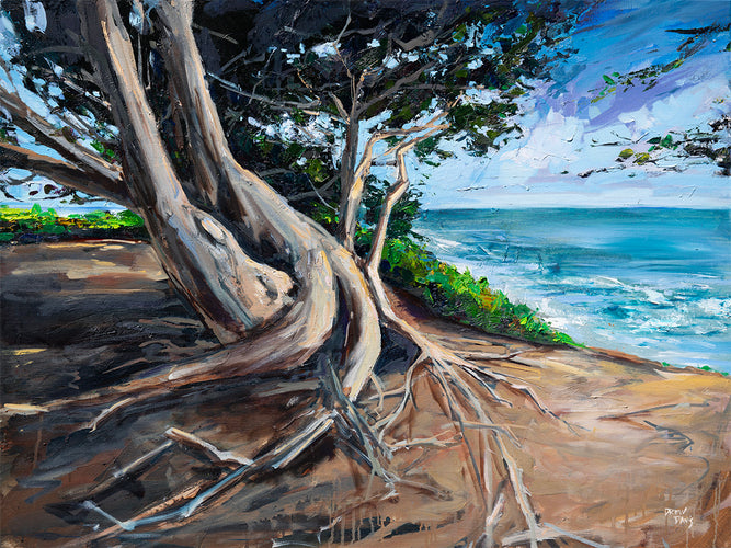 Twisted San Simeon Tree by Drew Davis — Oil on Canvas, 43×56 in