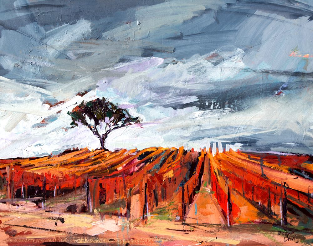 Vines In The Fall - View 2