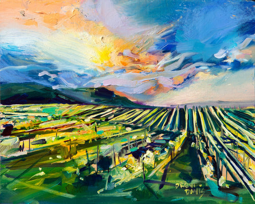 Vineyard Sunset by Drew Davis