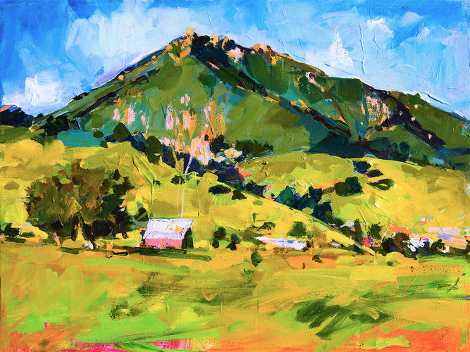 Bishops Pink Barn by Drew Davis — Oil on Canvas, 43×56 in