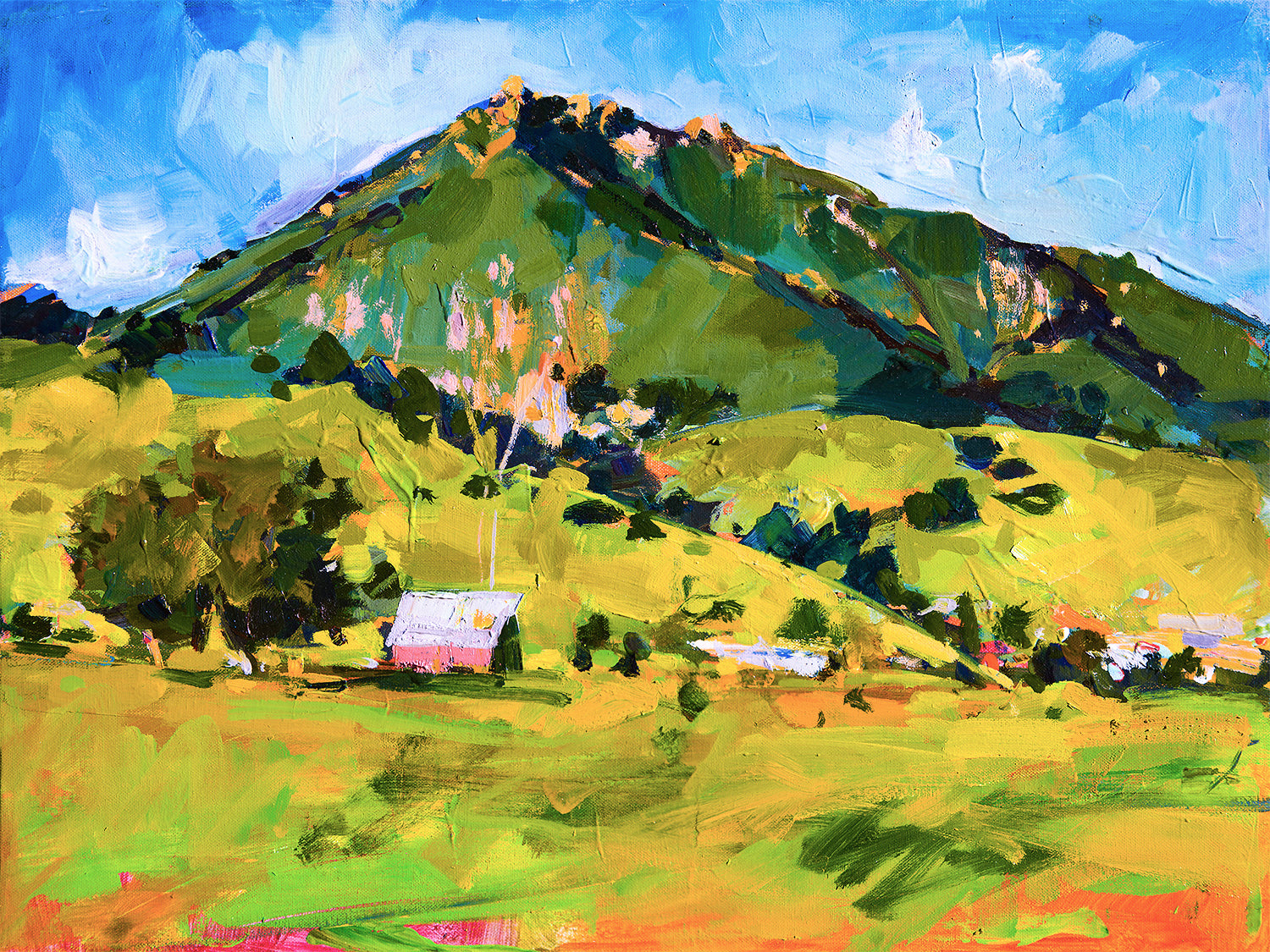Bishops Pink Barn | 18x24 | SOLD - Prints Available