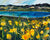 Carrizo Plains Wildflowers | 24"x30" | Original Oil on Canvas