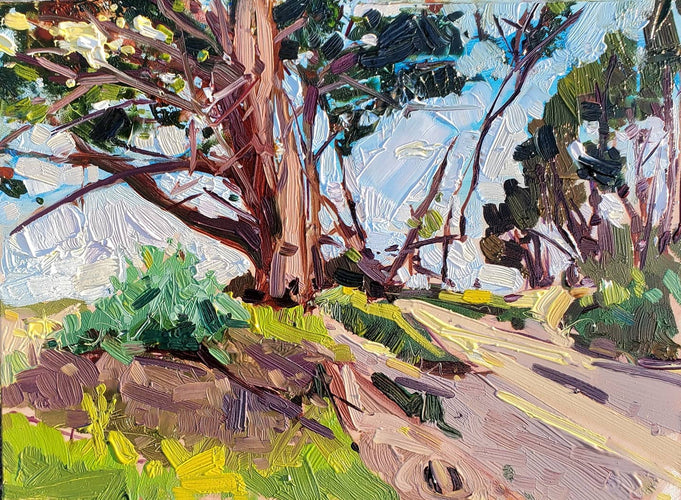 Monarch Butterfly Grove Trail by Drew Davis — Oil on Canvas, 43×56 in