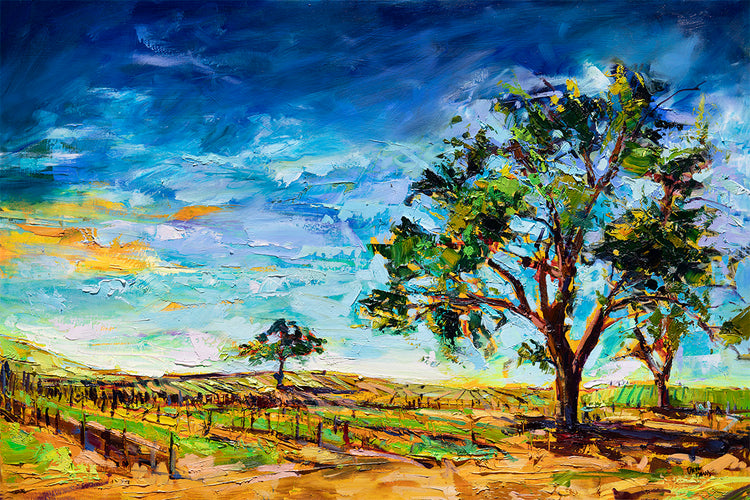 Paso Vines Sunset Glow by Drew Davis — Oil on Canvas, 48×72 in