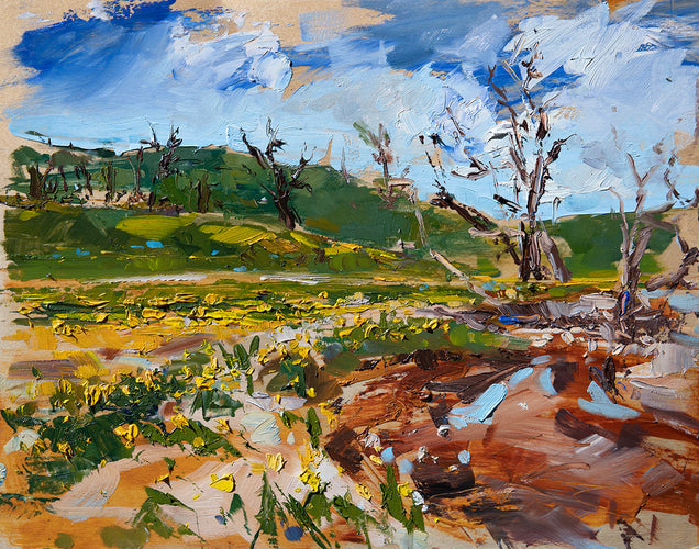 Shell Creek Wildflowers by Drew Davis — Oil on Canvas, 48×60 in