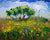 Spring on Madonna | 24x30 | Oil on Canvas